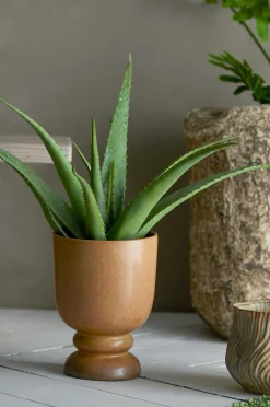 Bloomingville Aloe Plante