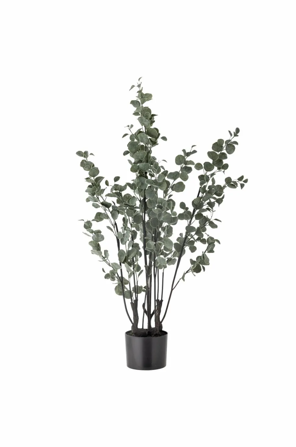 Bloomingville Eucalyptus Plante