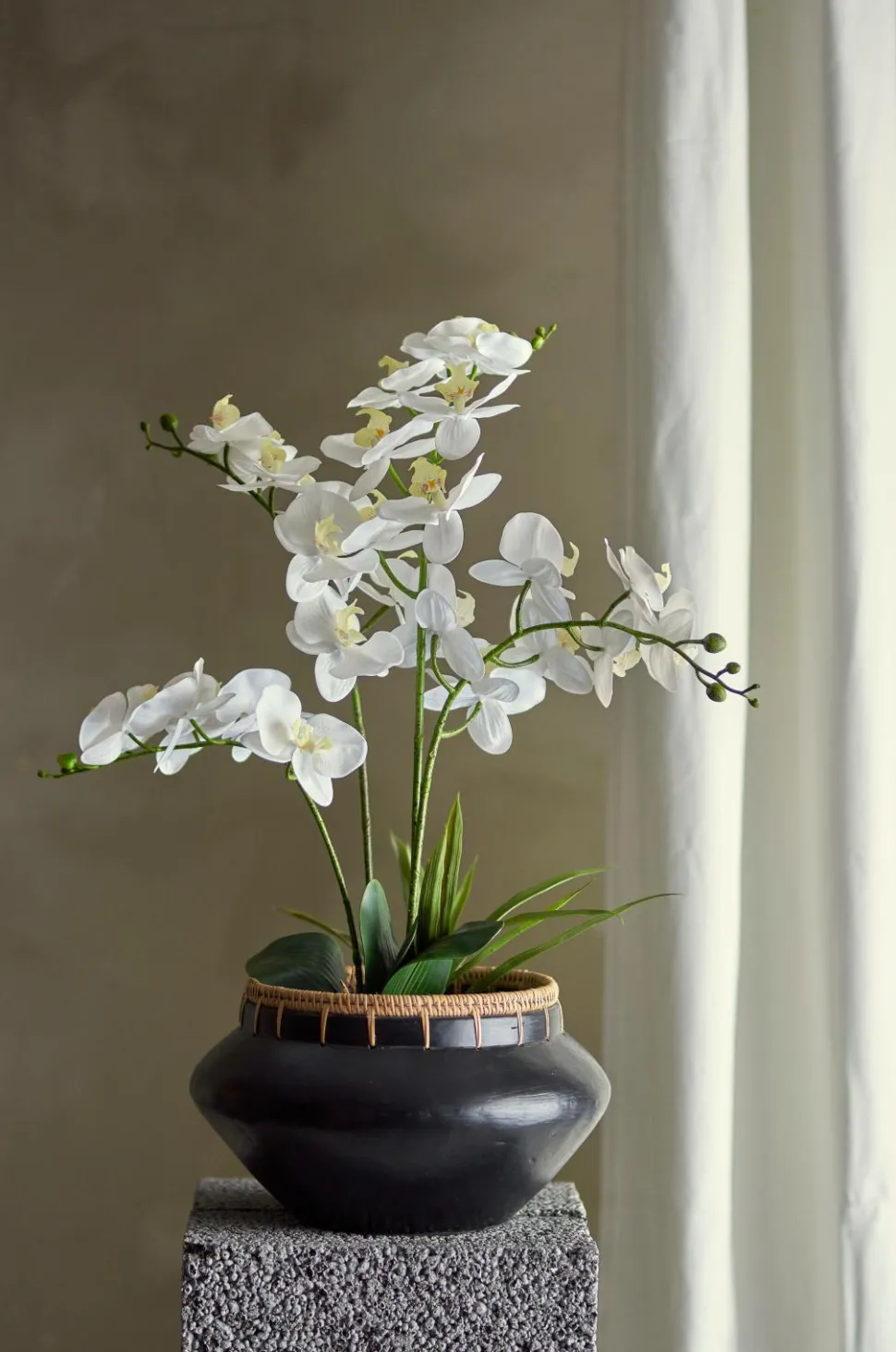 Bloomingville Orchid Plante