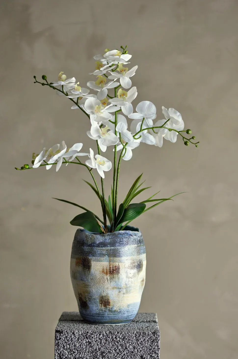 Bloomingville Orchid Plante
