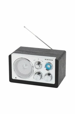 Denver Analog radio AM/FM