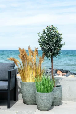 House Nordic Kunstig Durra. Plante af PE-plast.