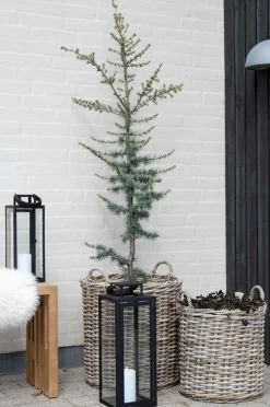 House Nordic Kurve Indo, 2-pak