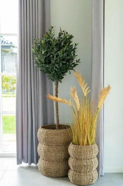 House Nordic Kurve Sarbas