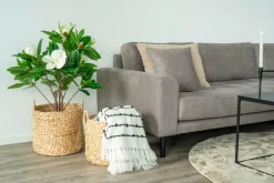 House Nordic Rund kurv Passo, 2-pak
