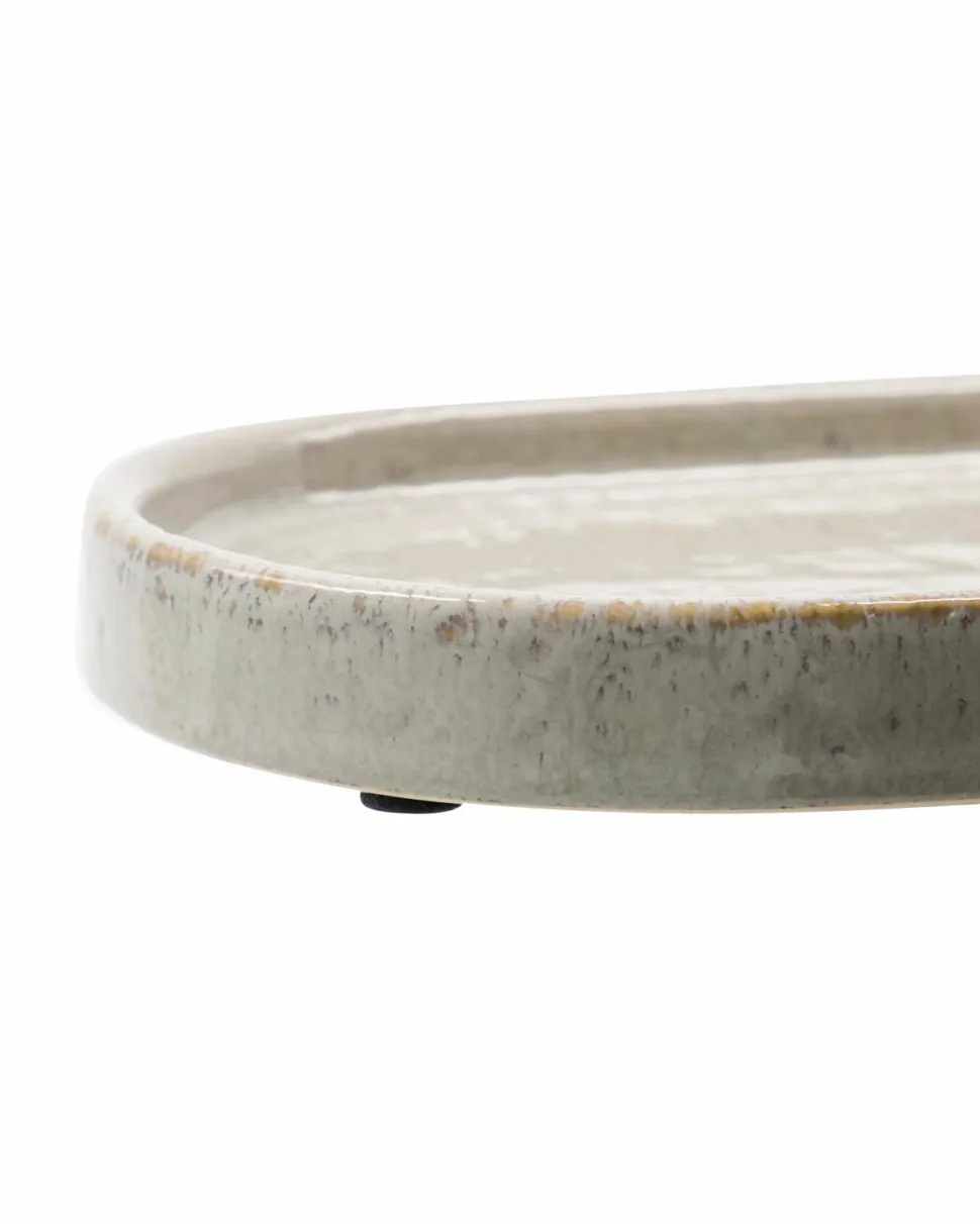 Meraki Tray Datura