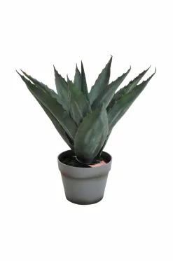 Nordic Furniture Group Aloe Vera plante H 45 cm