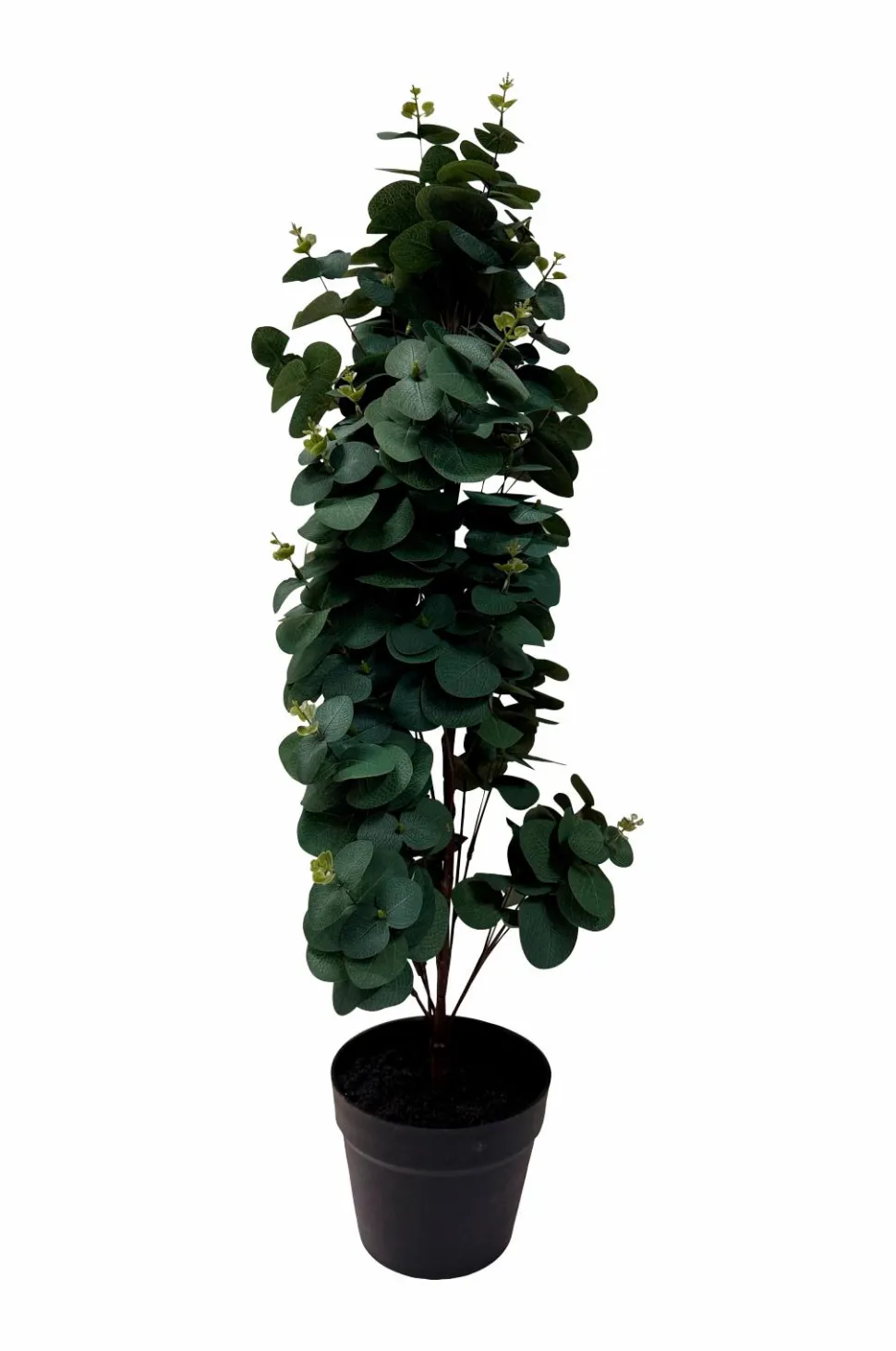 Nordic Furniture Group Kunstplante Viridis Eucalyptus 78