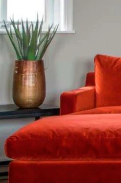 Nordic Furniture Group Aloe Vera plante H 50 cm