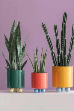 Present Time Plantekrukke Double Funky Small