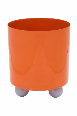 Present Time Plantekrukke Double Funky Medium