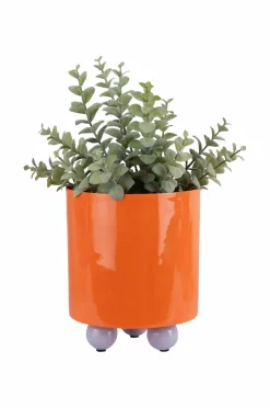 Present Time Plantekrukke Double Funky Medium