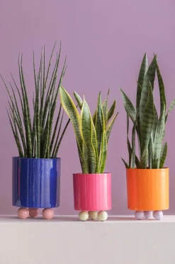 Present Time Plantekrukke Double Funky Medium