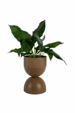 Present Time Plantekrukke Tonar