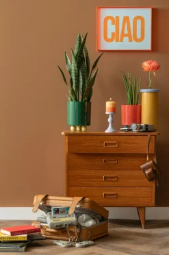 Present Time Plantekrukke Double Funky Medium