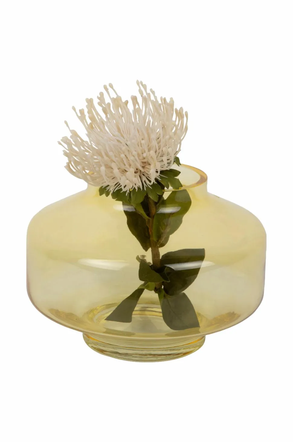 Present Time Vase Pasmoso