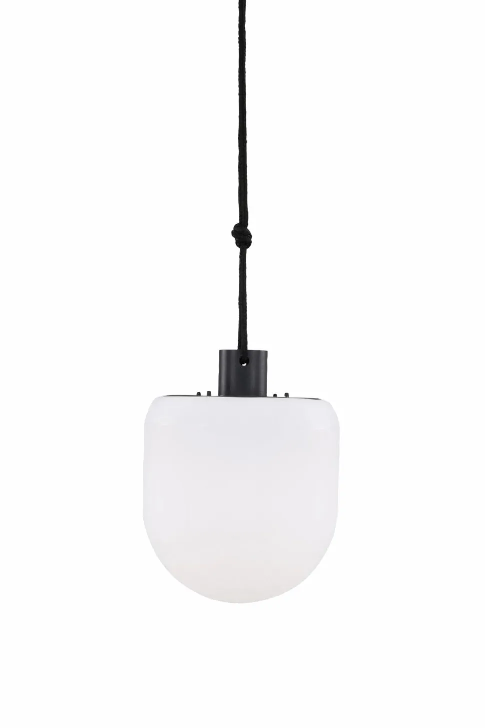 Venture Home Pendellampe Colie