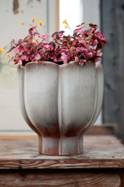 Wikholm Form Plantning Denise