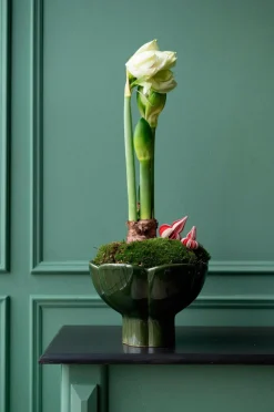 Wikholm Form Plantning Denise